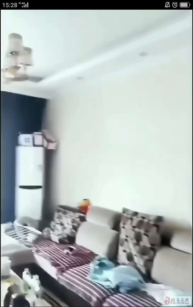 急售;中泉首府城南学区房+精装+采光好+可按揭